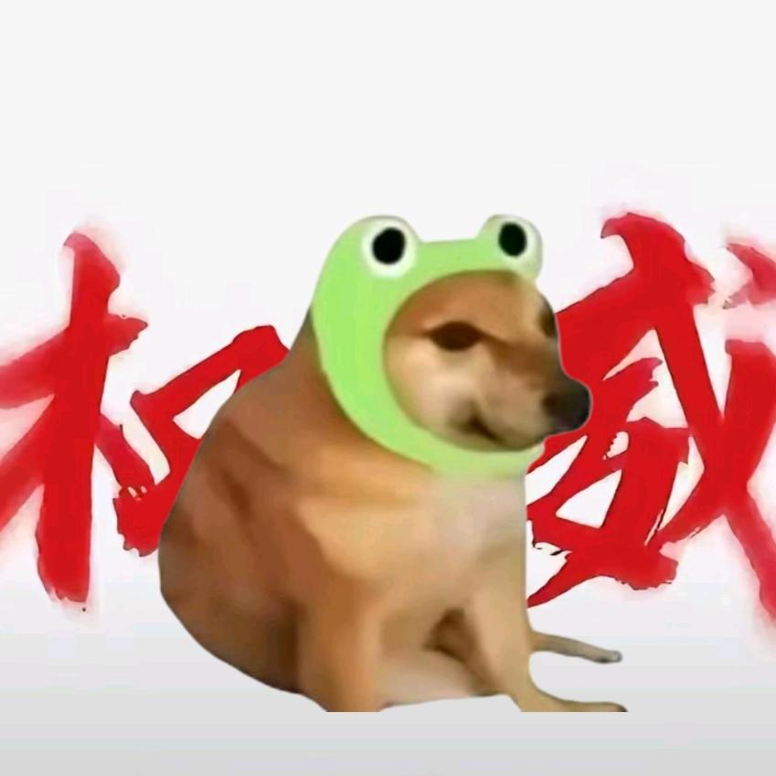 小修狗（充两万粉）