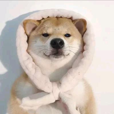 待春风