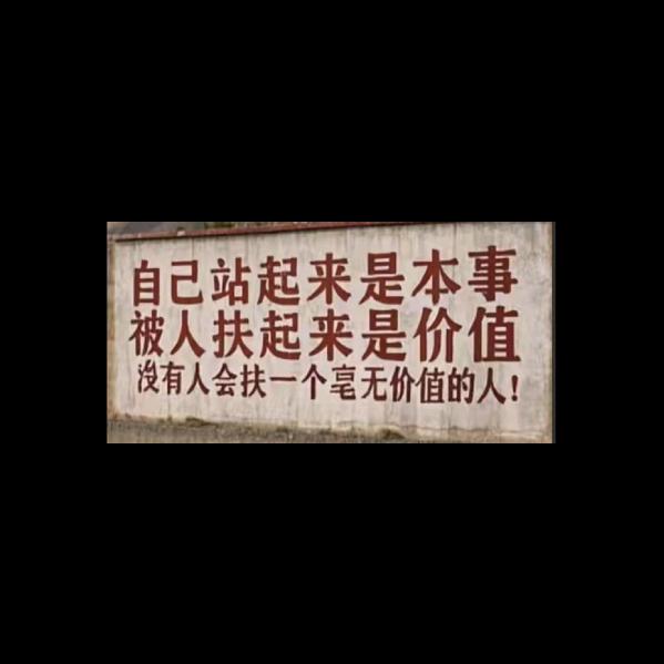 朕只宠一人