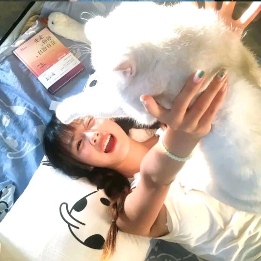 小羊.