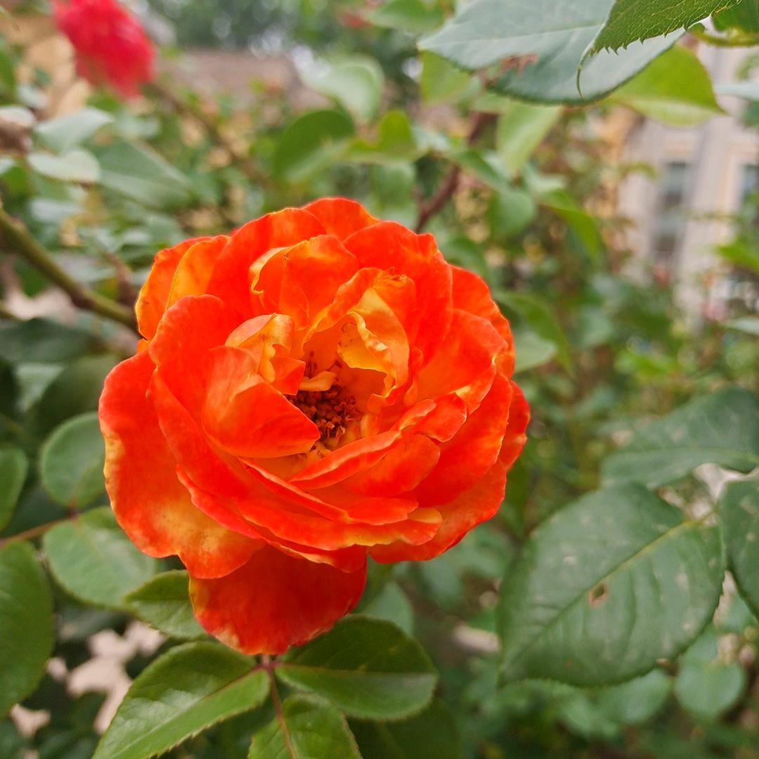 薛，薛微有点甜👣👣👣👣👣🙏