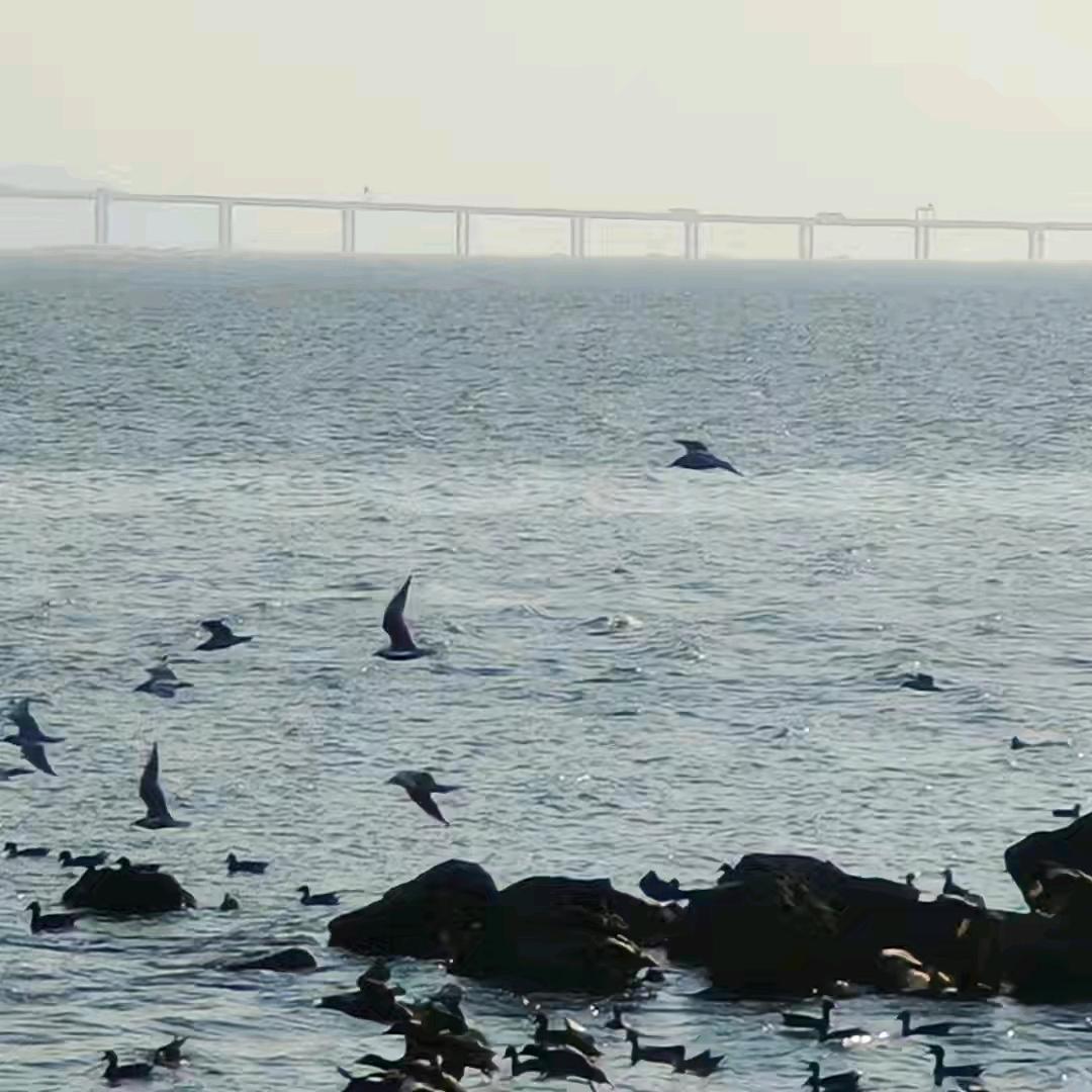 莉儿