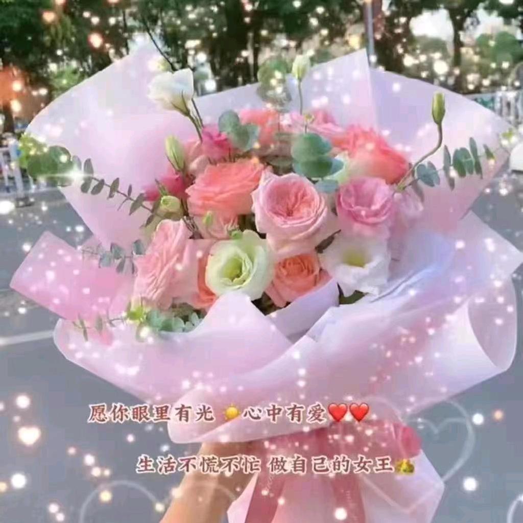 月亮之上