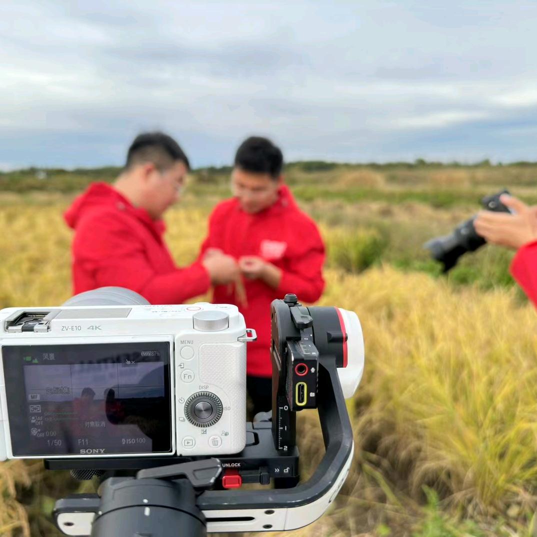 五常大米李云鹏