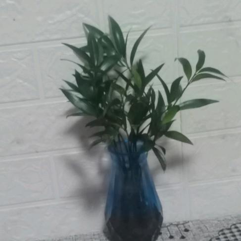 小鸟