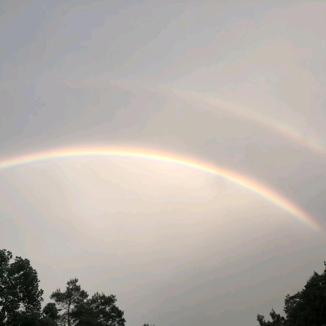 🌈小平儿 2113 小号