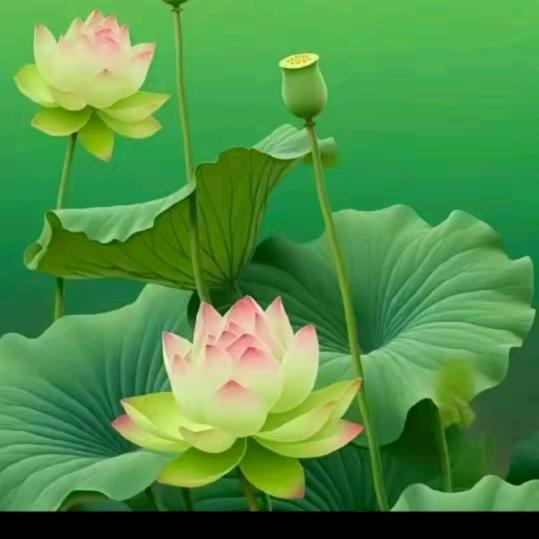 越来越好3（天一阁）