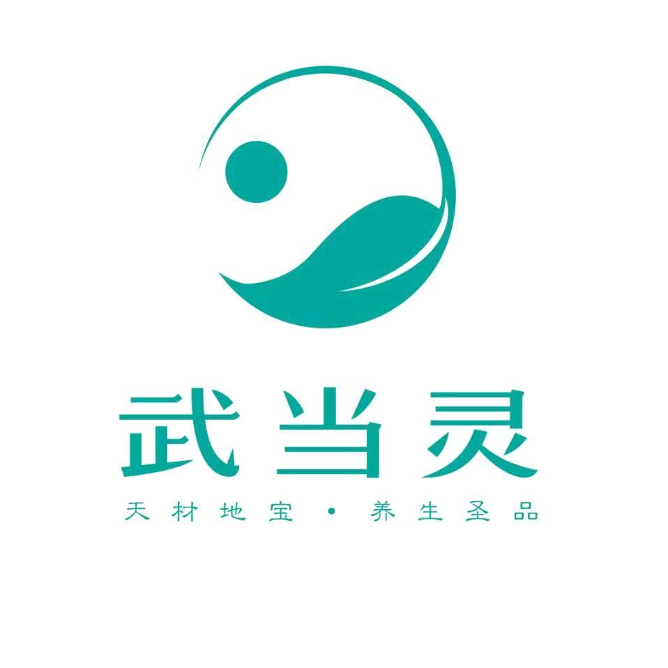 武当臻选