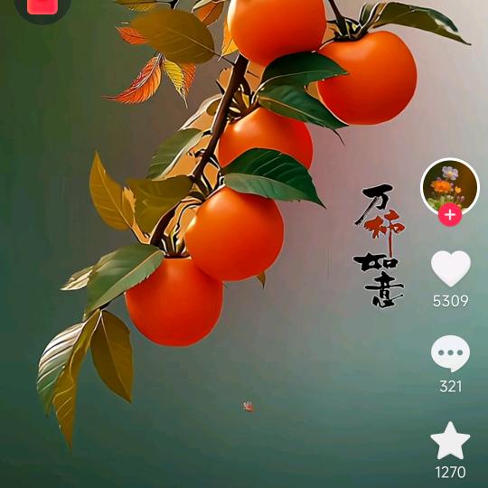 宏歌