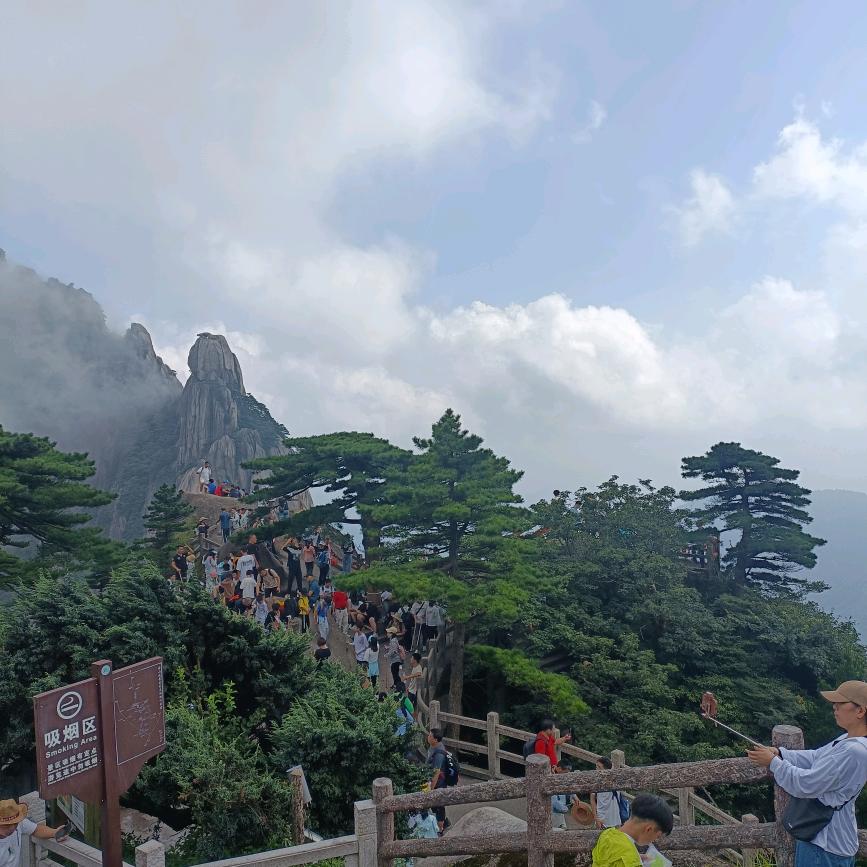 梦楠，