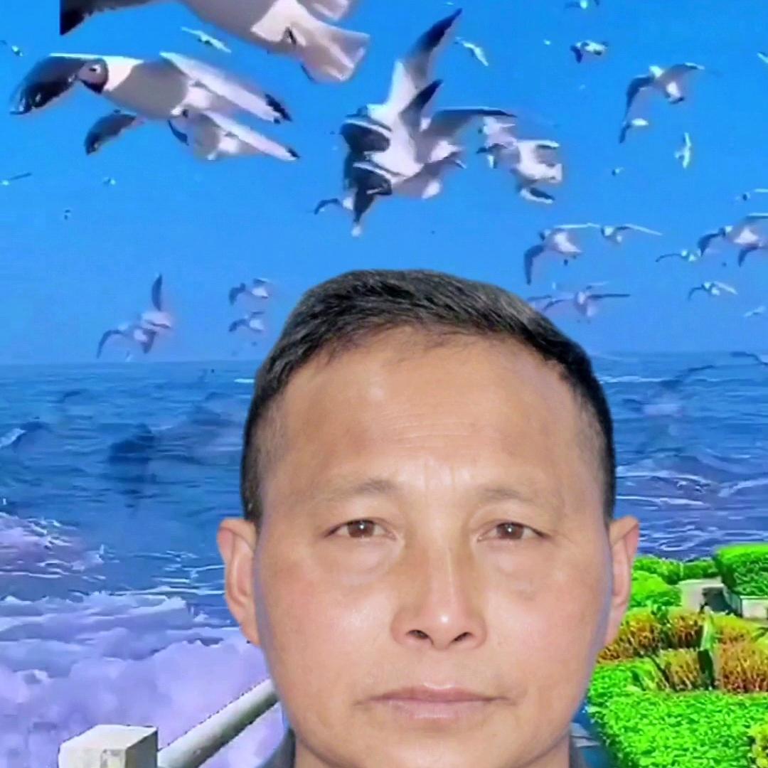 湛蓝的影视