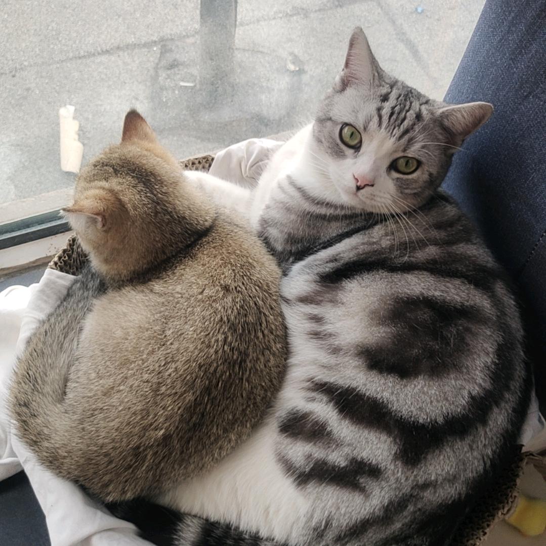 王百万and郑大钱