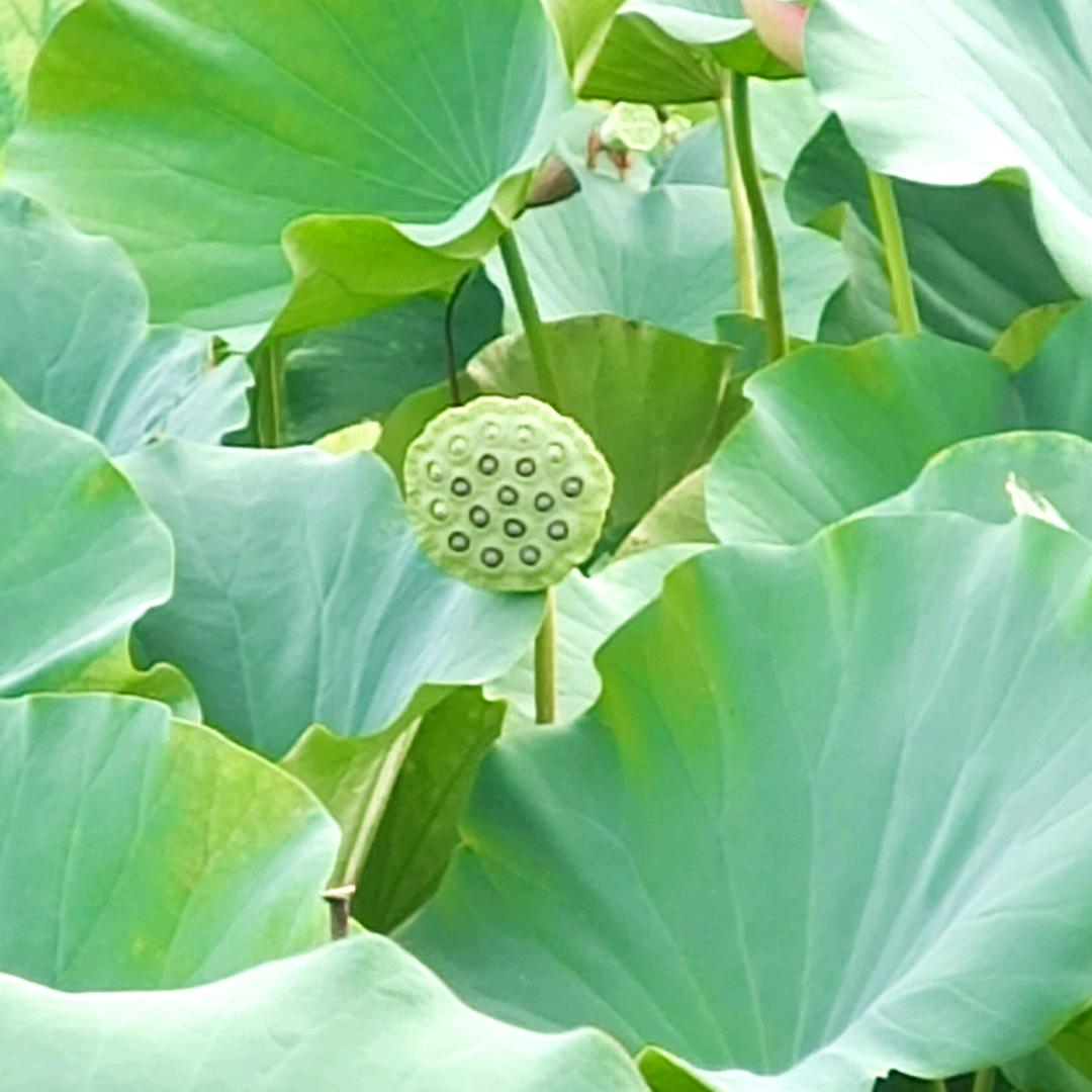 🌻相信自己🌻