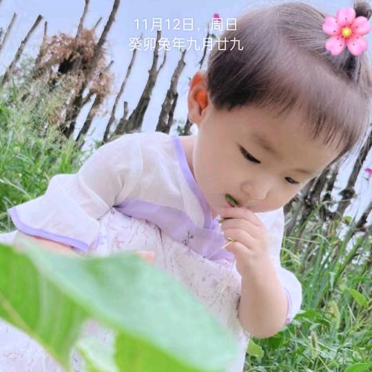 断桥铝门窗，纱窗，改内倒锁