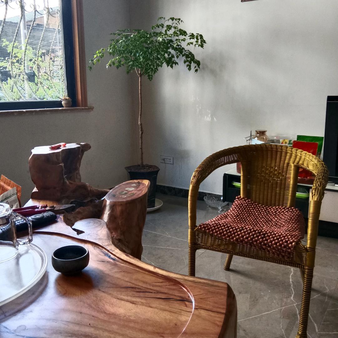 林蓝茶