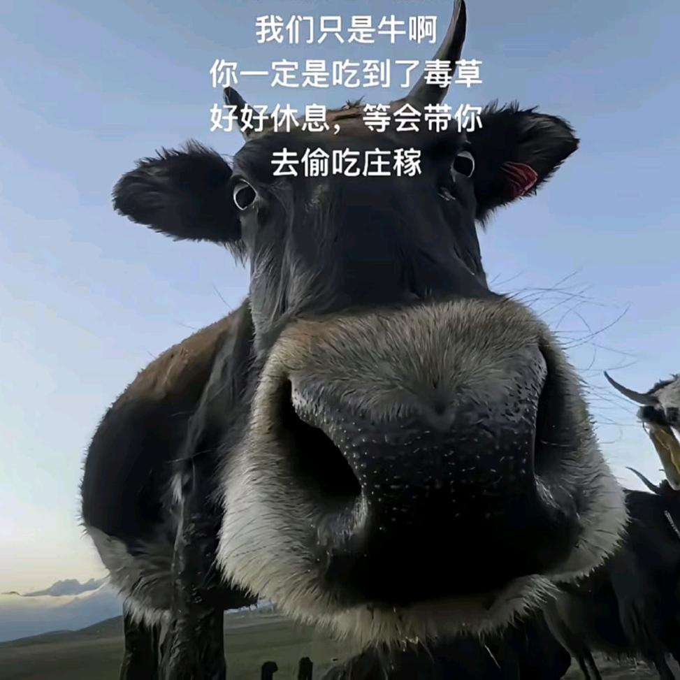 。。。。。。。
