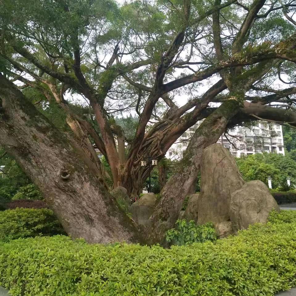 义乌市长扬塑料制品厂（个体工商户）