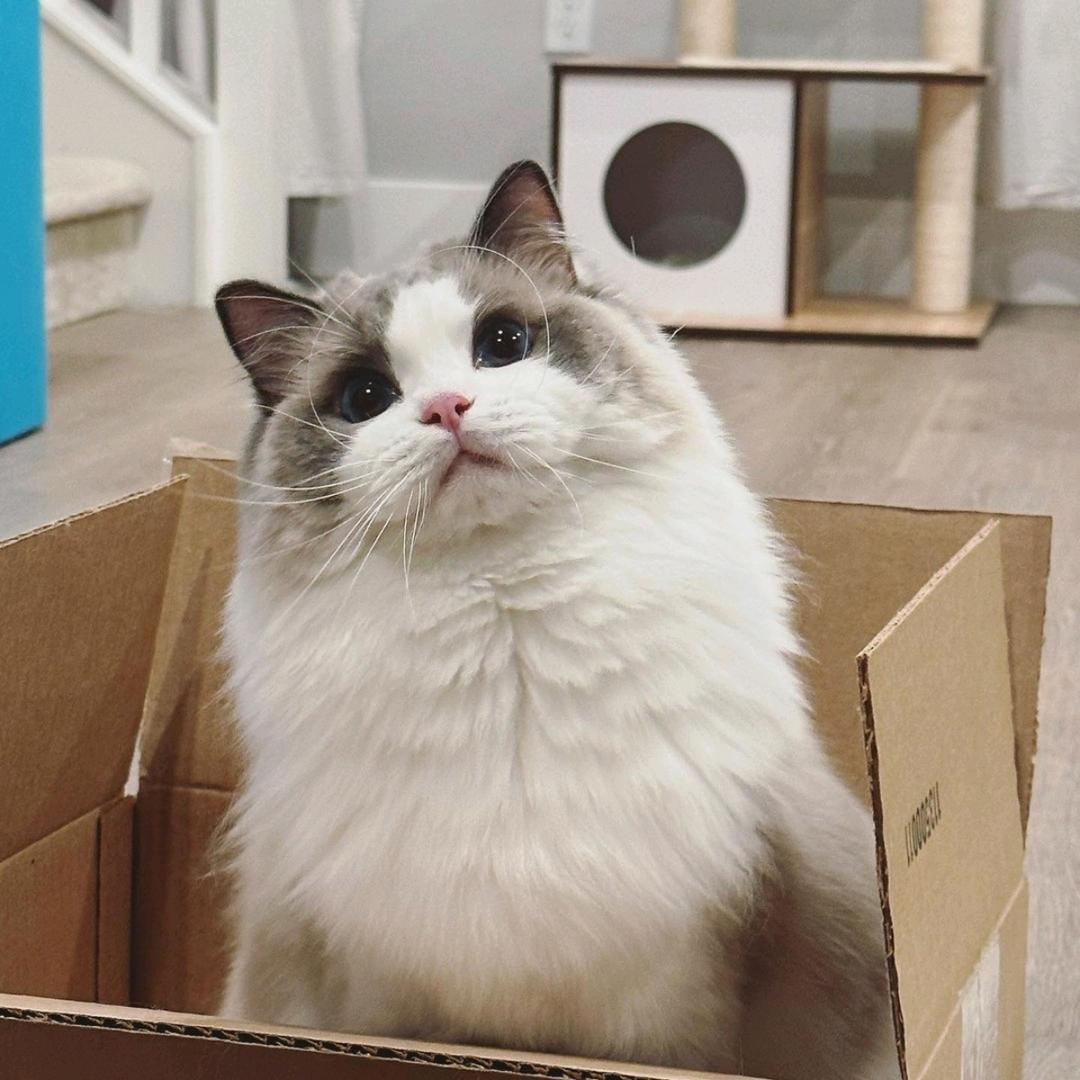 风吹乱了他的头发