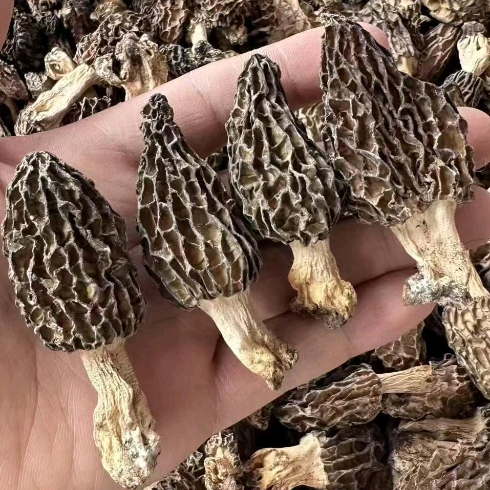 西藏林芝波密县小野土特产