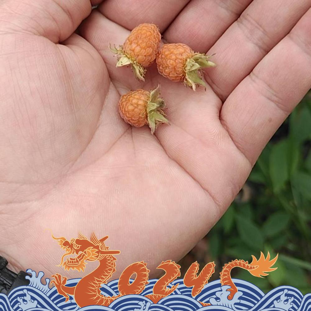 小奶娃💖里有你