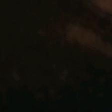 朱四