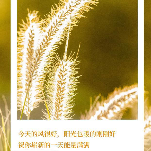 同城团购推荐秀秀