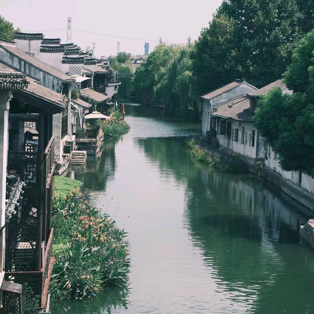 一心哥