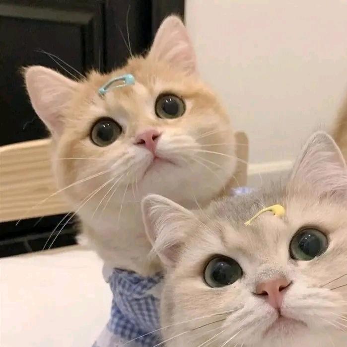 ？