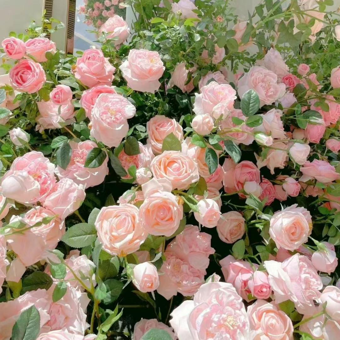 小野藤