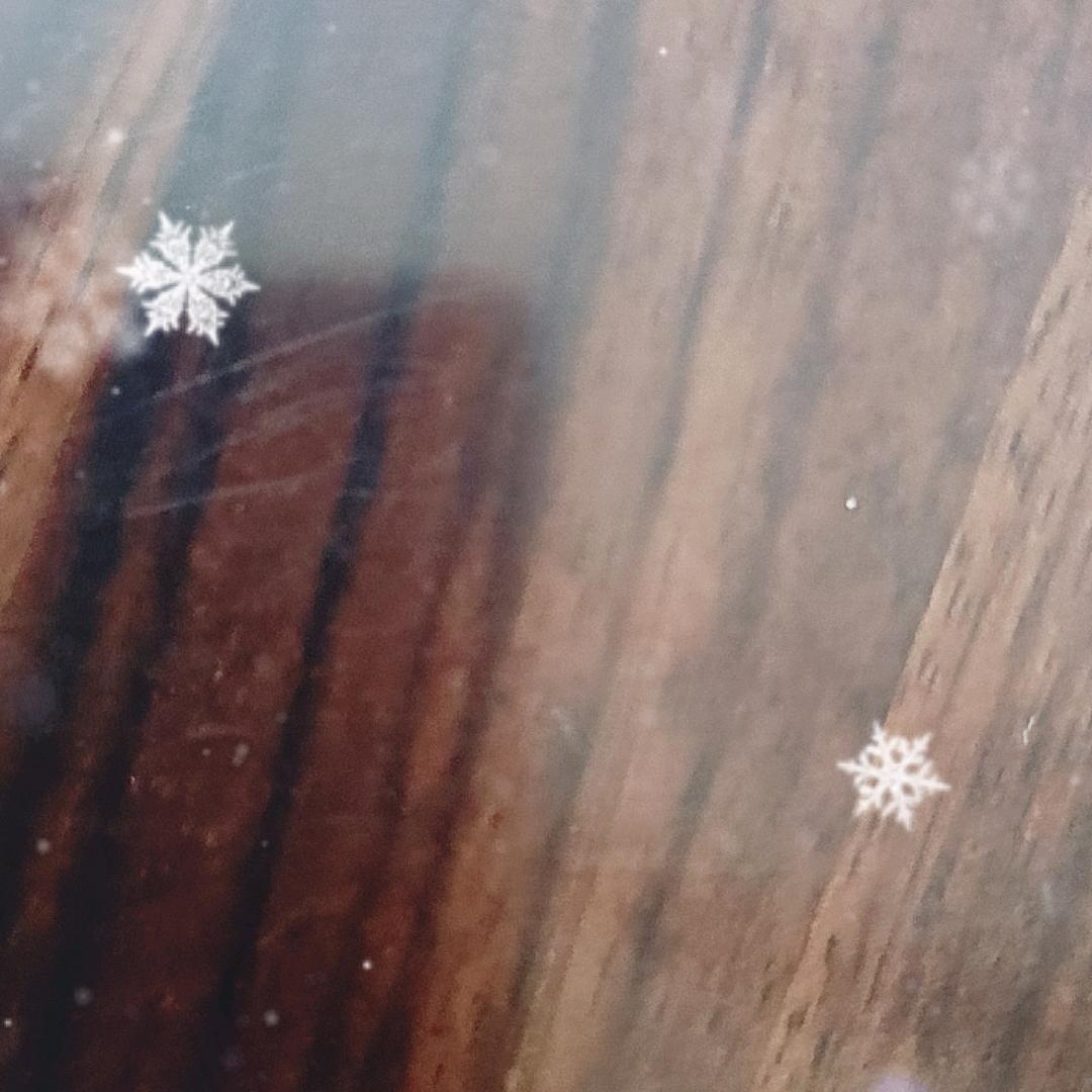 飞蛾(／_＼)扑火