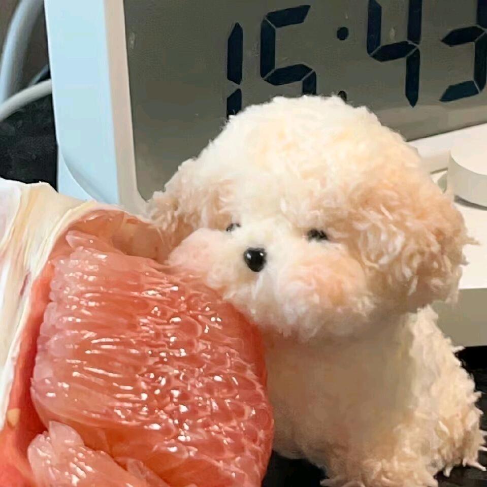 赵小绿siri
