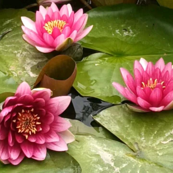 春暖花开2847371804348