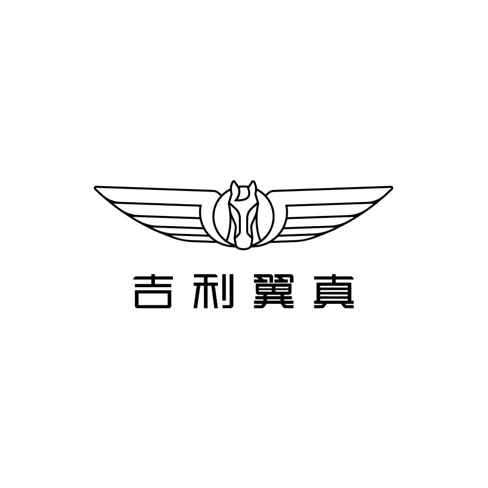 LEVC翼真380-沈阳体验中心