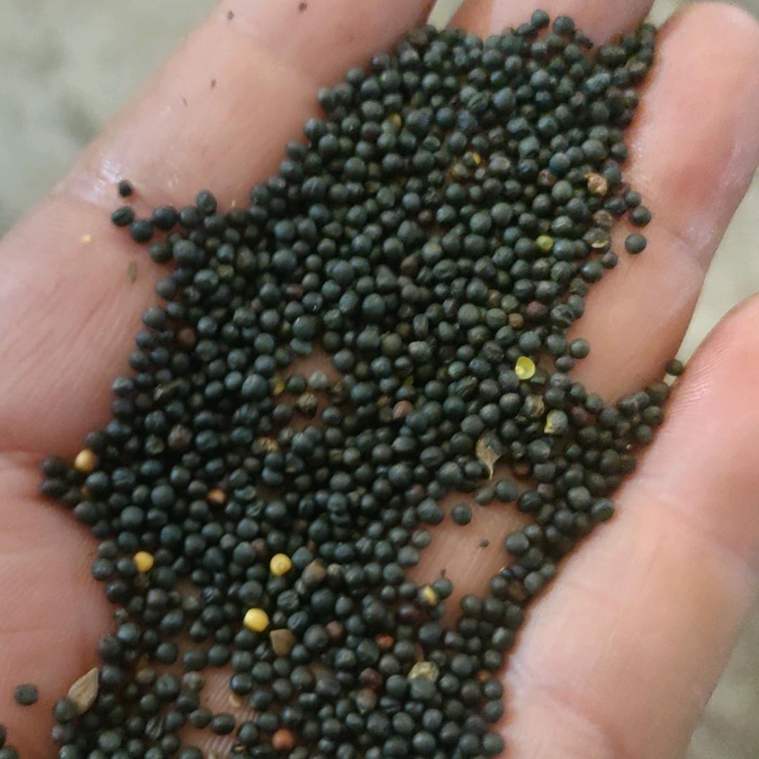 清扬明禾粮贸