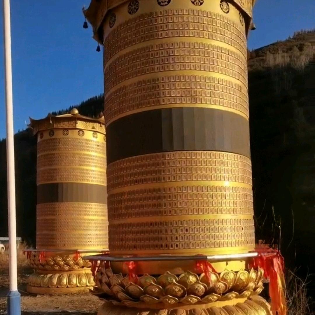芸儿☯️