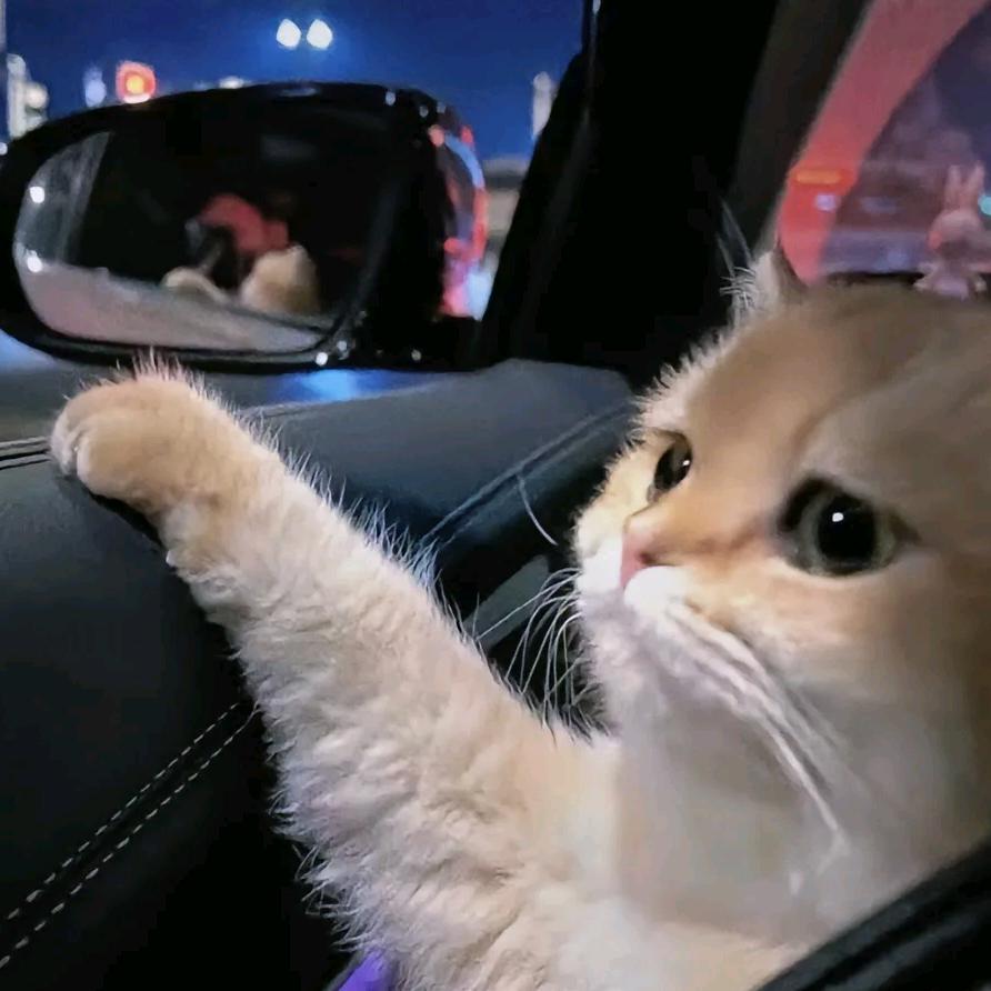 遇见秘一般的你