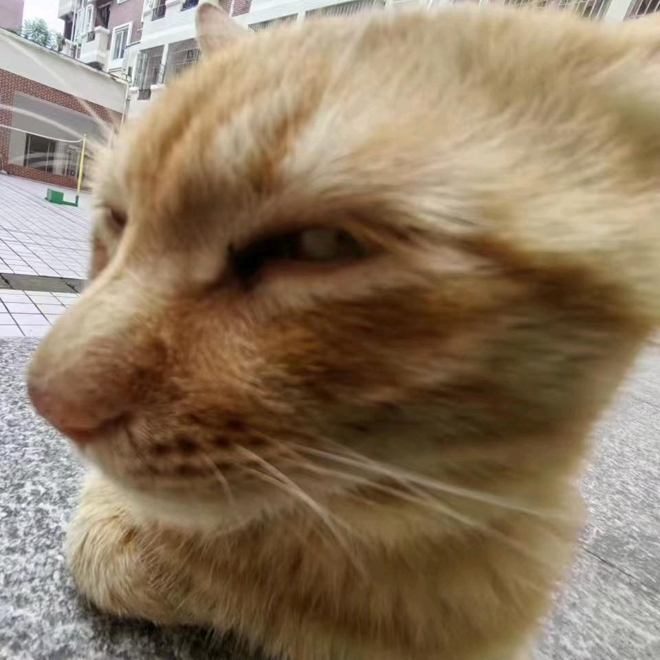 与其
