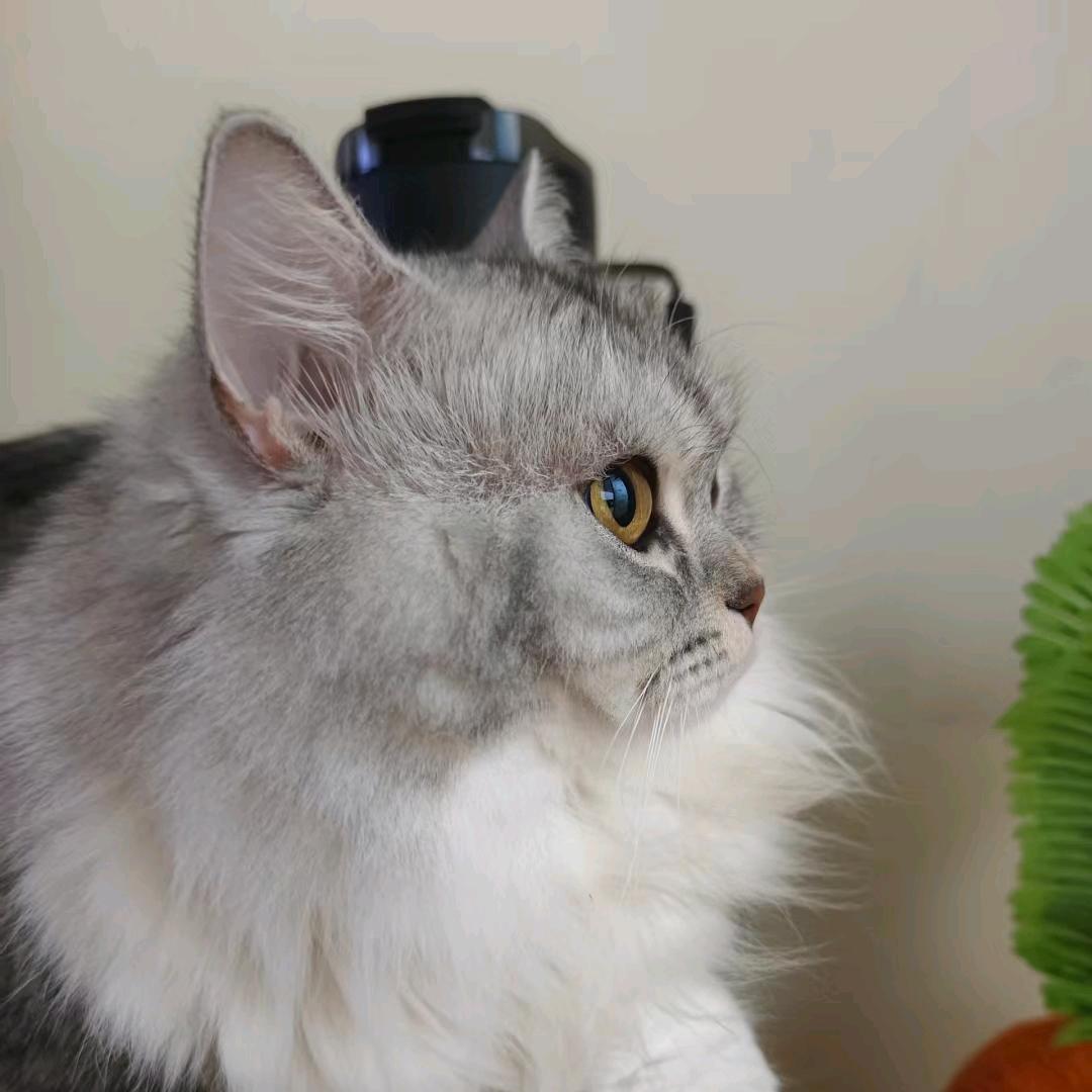 任上人