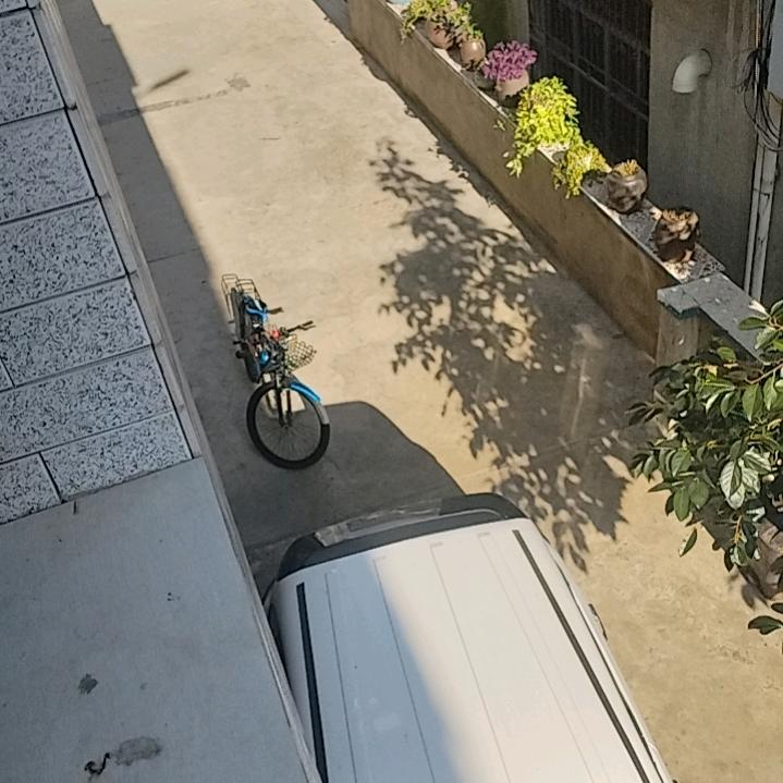 静儿的生活状态