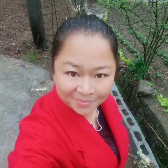 王婆子2