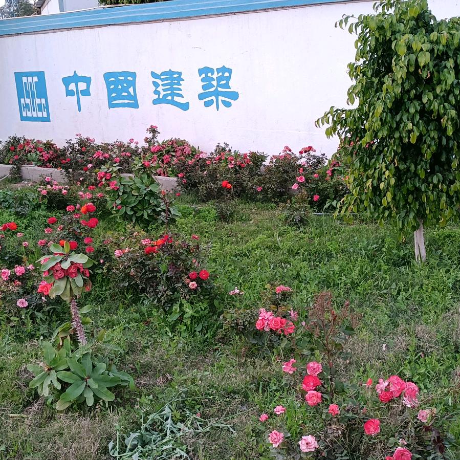 已重置，爱情透支卡