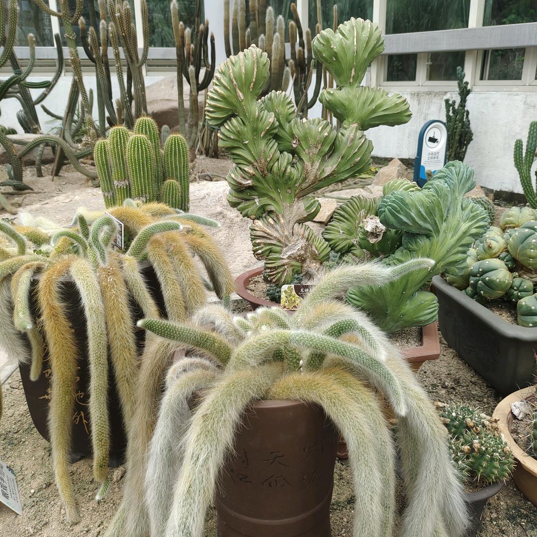 🇻🇳友…〰➰缘…再见🔴