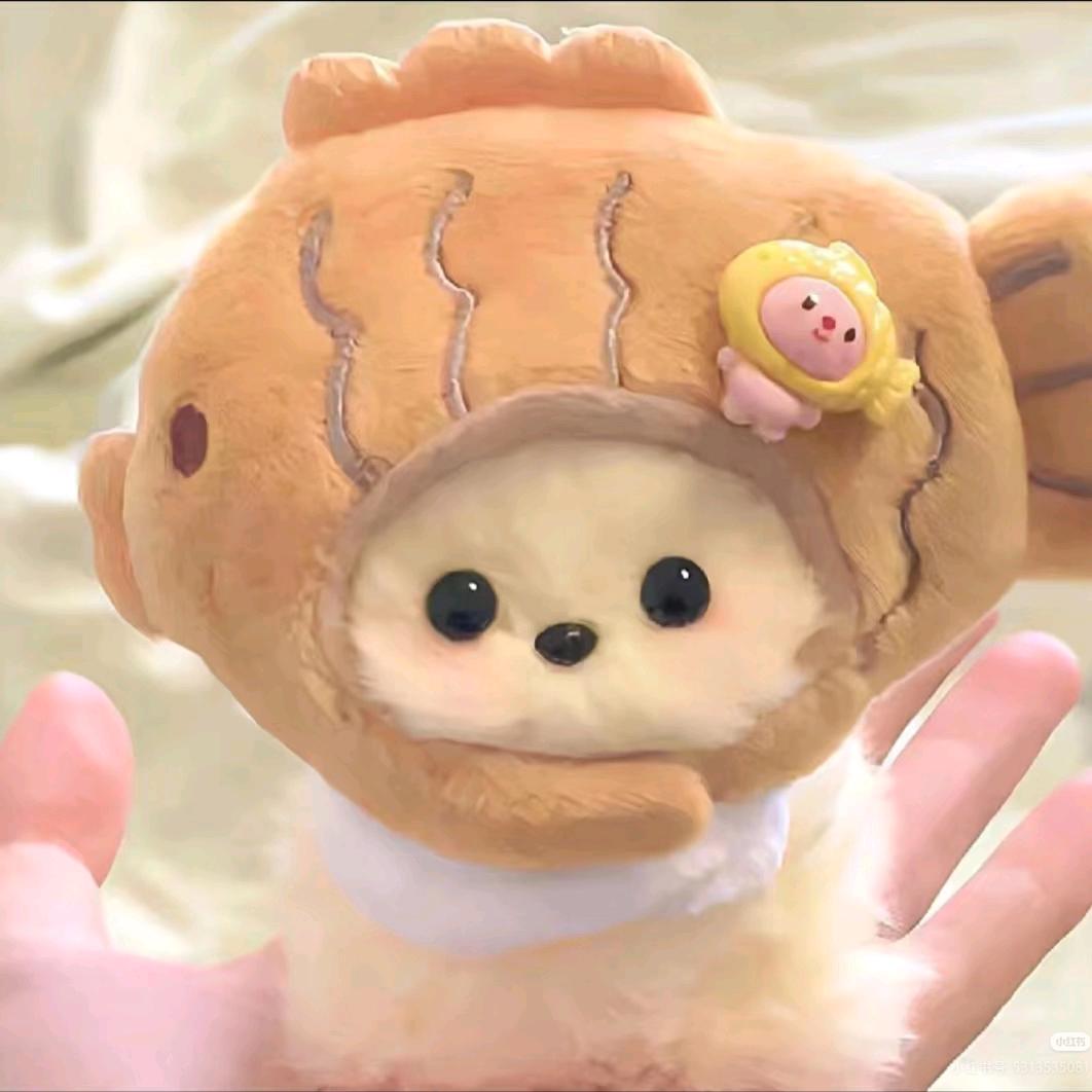 "kitten~~"头像