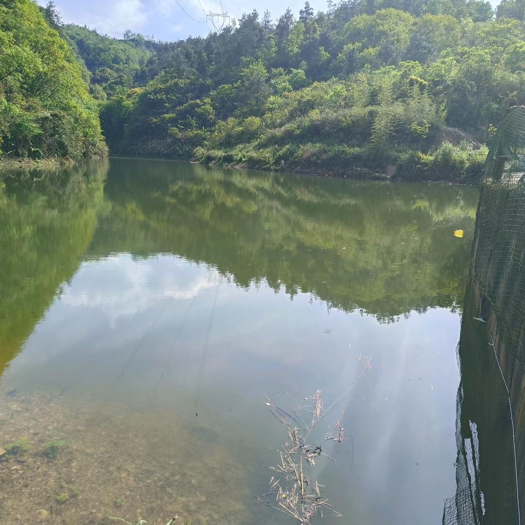 水中游