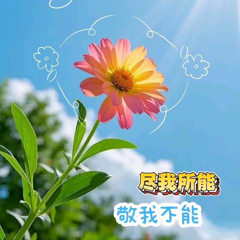 Luck相随