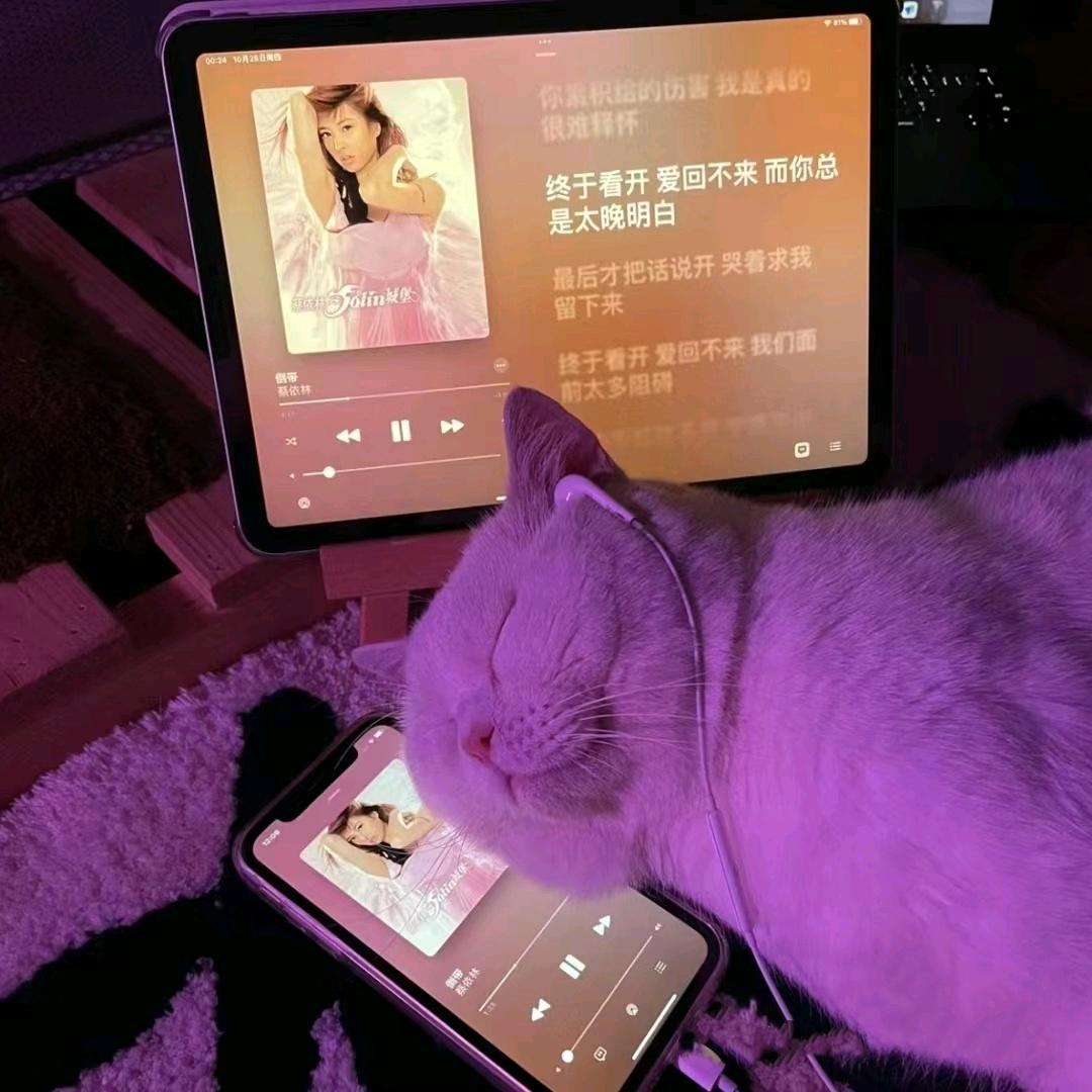 十一月的女王