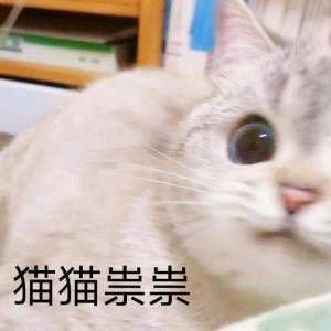冻桑
