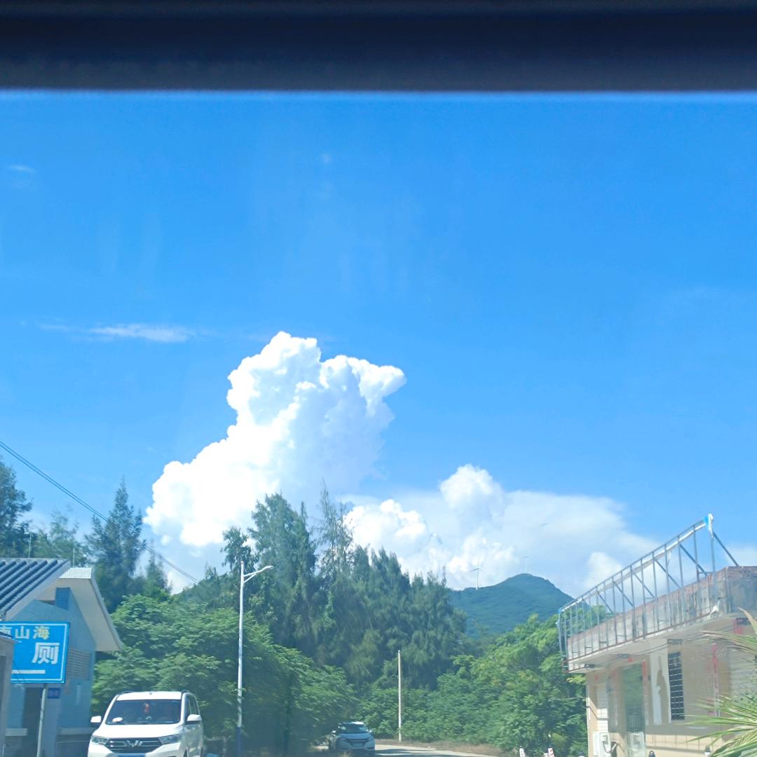 唐老鸭👣
