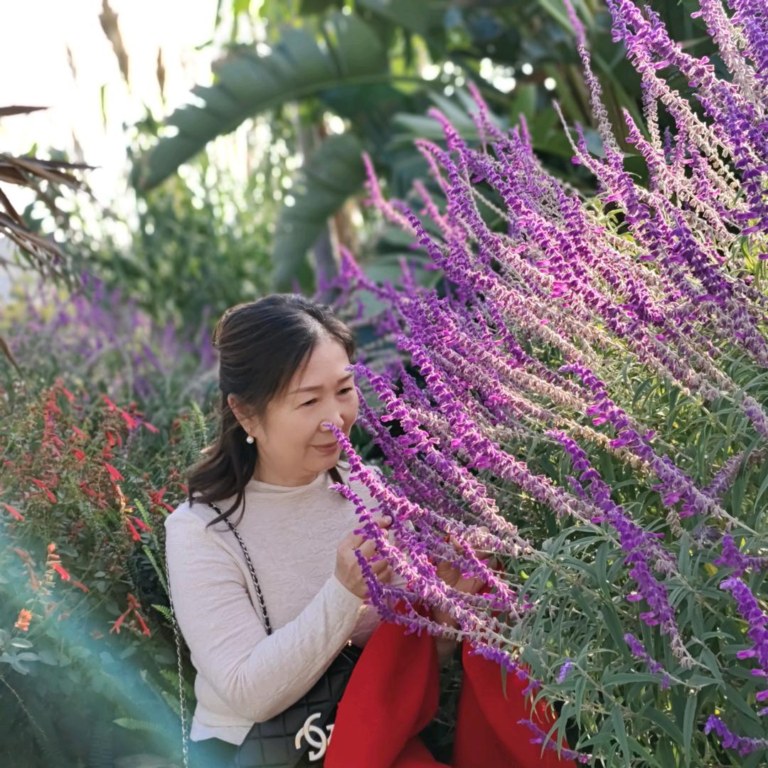 陈姐♥️