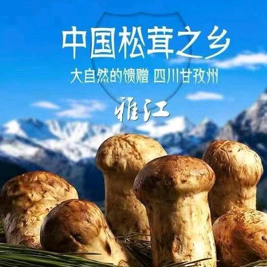 ᥫᦸᐝ老ོ࿆ྃ男孩ꦿ࿐